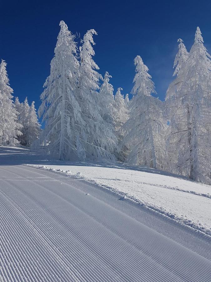 Laerchenwald Lodge Бельвальд Екстер'єр фото