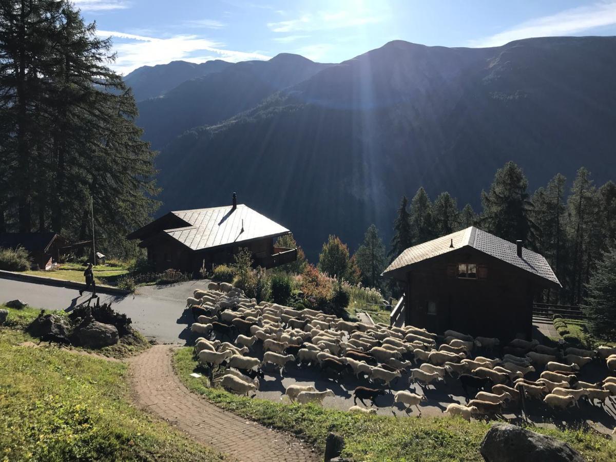 Laerchenwald Lodge Бельвальд Екстер'єр фото
